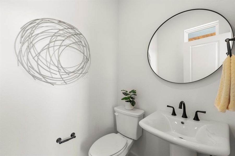 6_06. 2017 Aldrich 2263-Catalpa- Powder