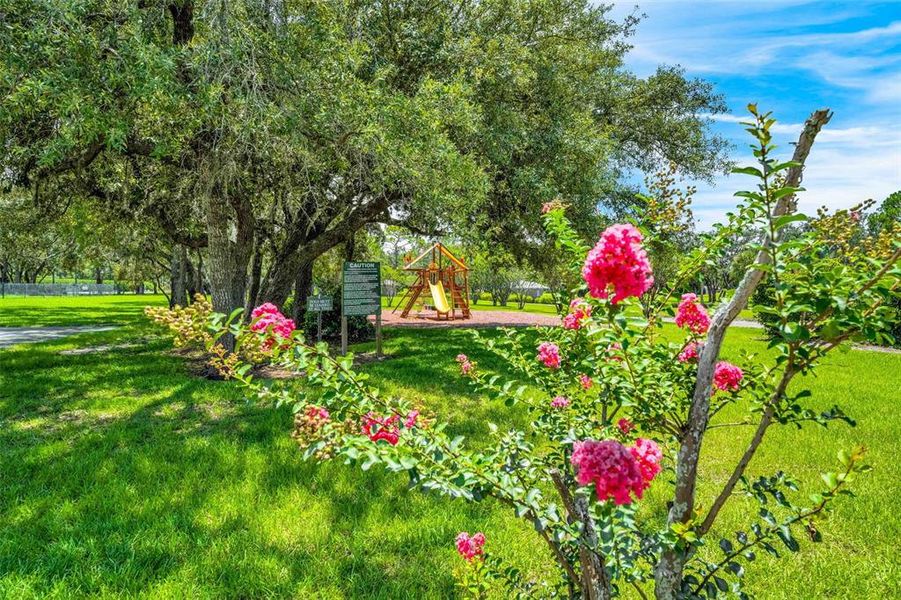 Natural landscape and outdoor views near  in Weeki Wachee (Image 63).