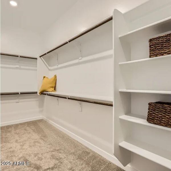 Owner's Walk in Closet