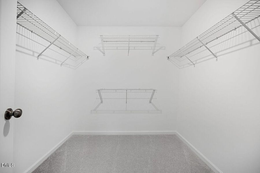 hj-nc-raleigh-eagle-trace-stella-lot-34-