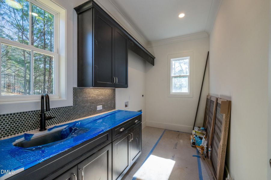 20 canvasback-10 20 canvasback-10