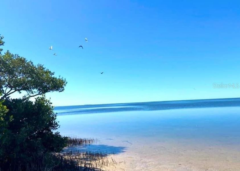 Natural landscape and outdoor views near Island Lakes at Coco Bay in Englewood (Image 16).