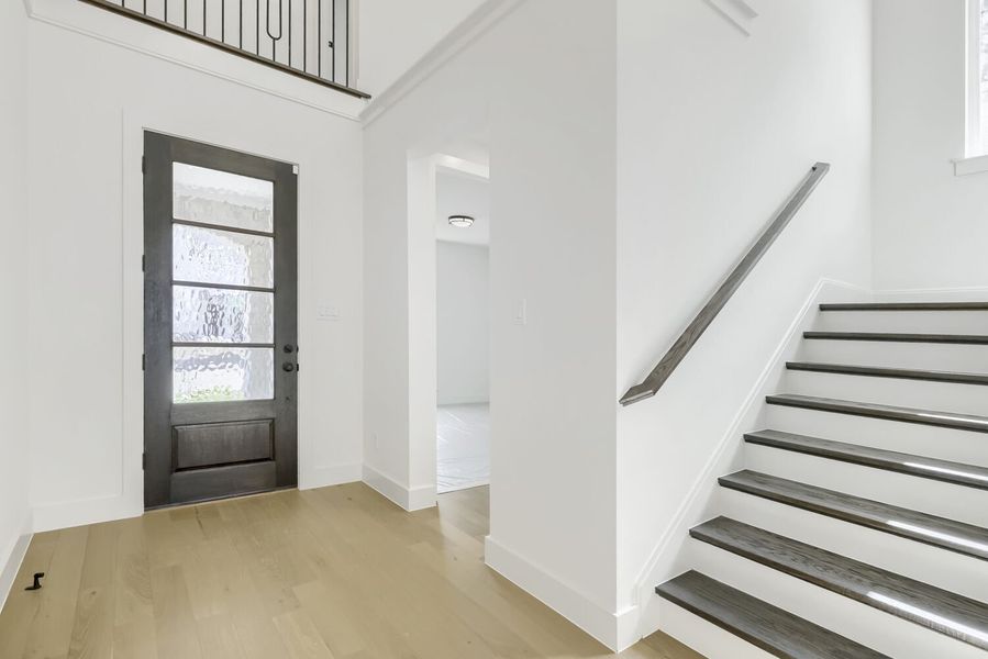 2681 Sassafrass - Entry 2681 Sassafrass - Entry