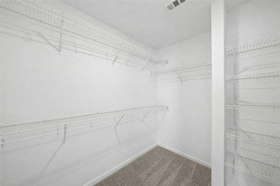 Walk in closet featuring dark carpet