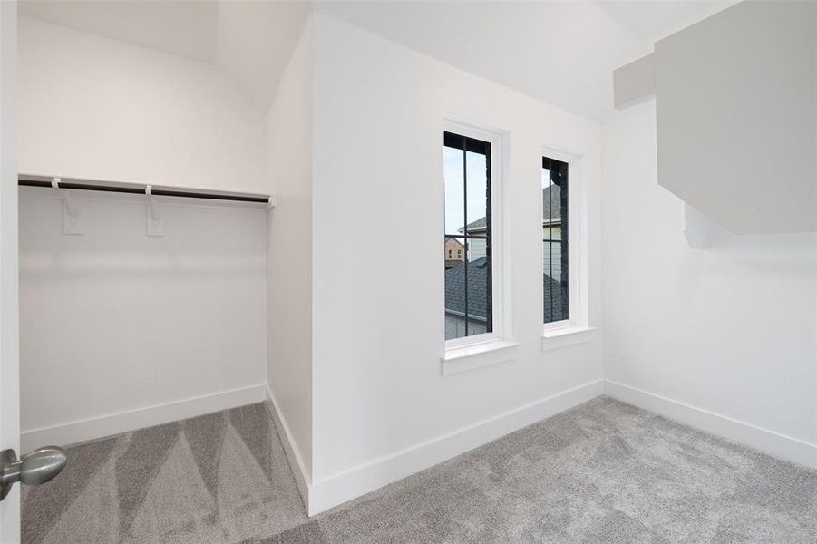 Walk in closet with light colored carpet