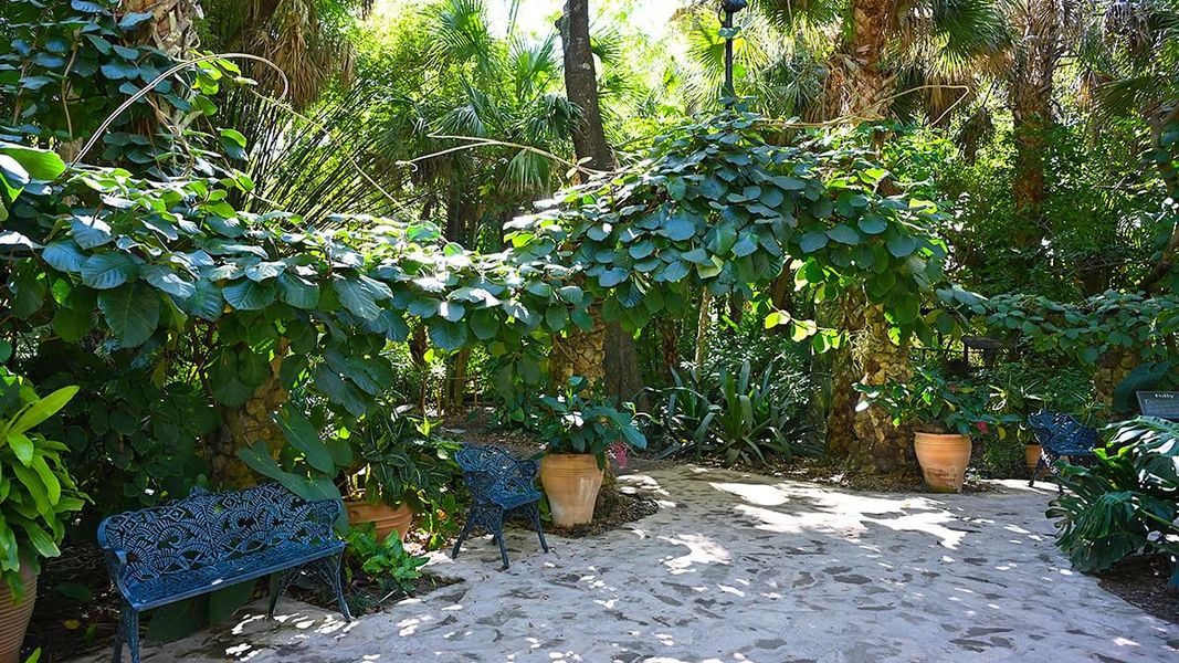 Natural landscape and outdoor views near Veranda Oaks in Port St. Lucie (Image 68).