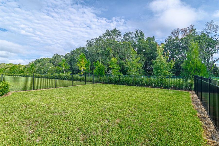 Image 39 of a home in Ocala Preserve.