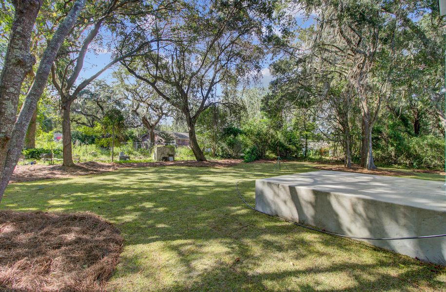 Natural landscape and outdoor views near  in Charleston (Image 32).