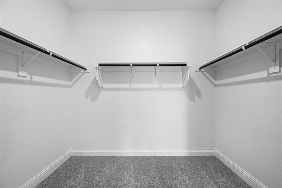 1445 Zapateado Way ~ Ready Now 1445 Zapateado Way ~ Ready Now