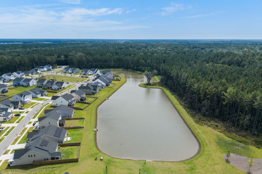 Image 48 of a home in Sweetgrass at Summers Corner: Arbor Collection. Image 48 of a home in Sweetgrass at Summers Corner: Arbor Collection.