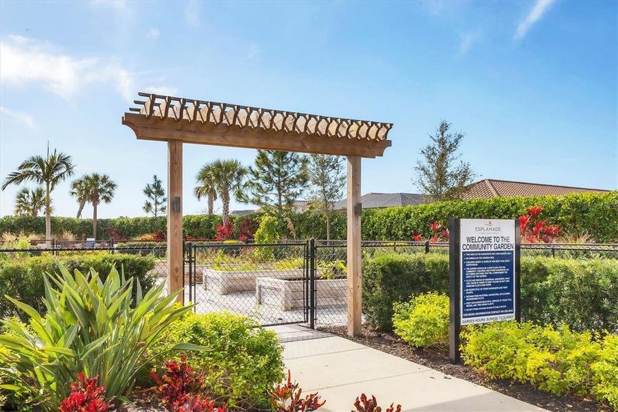 Image 65 of a home in Esplanade at Azario Lakewood Ranch. Image 65 of a home in Esplanade at Azario Lakewood Ranch.