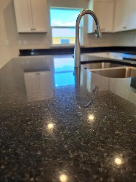 Close-up of interior finishes inside a home in , Citrus Springs (Image 8).