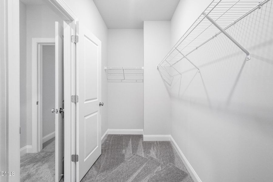 SUN_Everlee_Pic_MayflowerIII_QMI_218_Clo