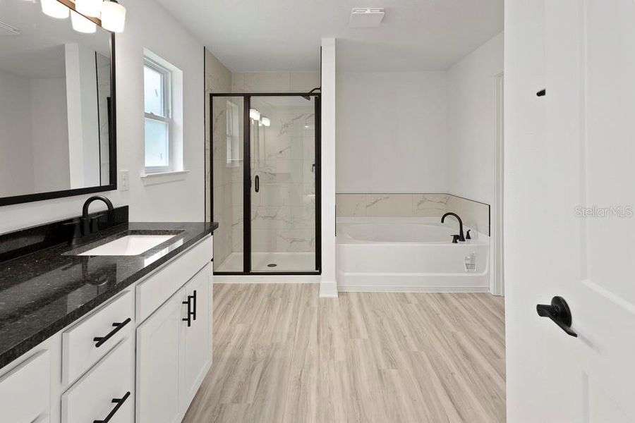 Furnished interior view inside a new home in The Preserve at Laurel Lake, Lake City (Image 16).