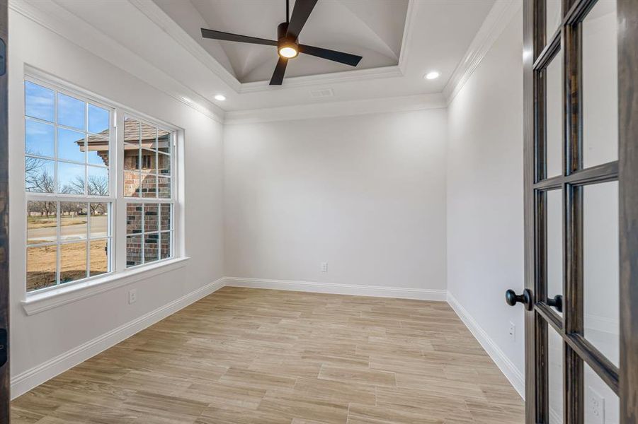 Unfurnished room with ceiling fan, a tray ceiling, ornamental molding, and a healthy amount of sunlight