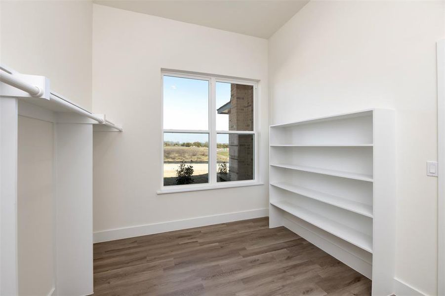 Spacious closet with wood finished floors