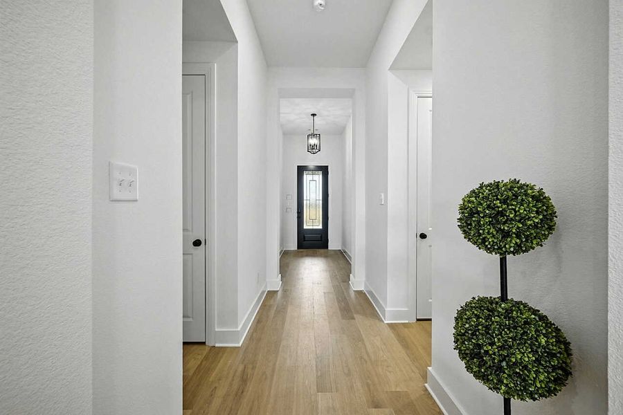 Entry Entry