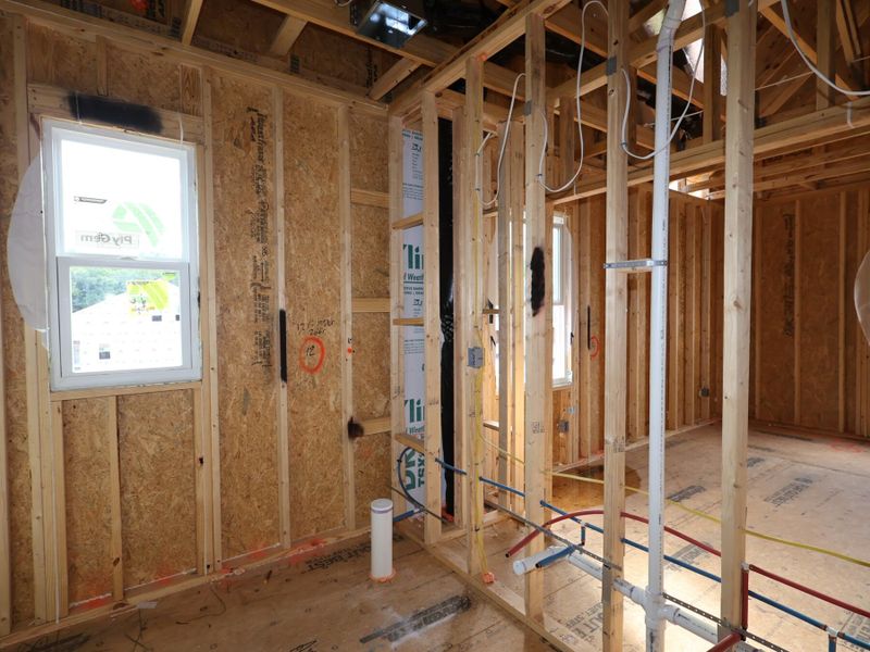 Framing Framing