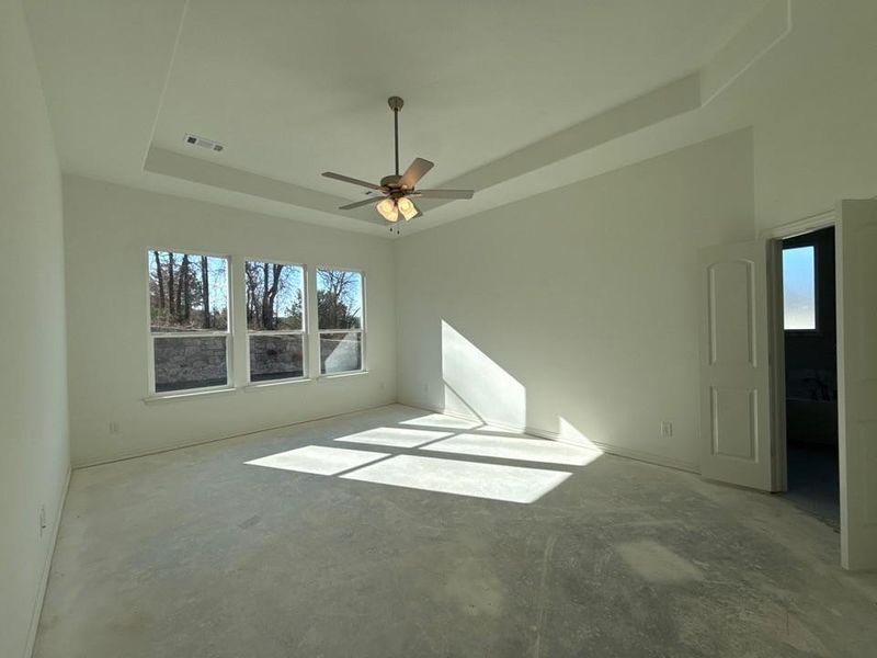 Unfurnished room with a raised ceiling and ceiling fan