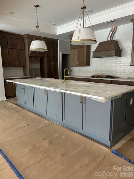 In-progress construction of a new home in The Courtyards at Hodges Farm, Charlotte, NC (Image 8).