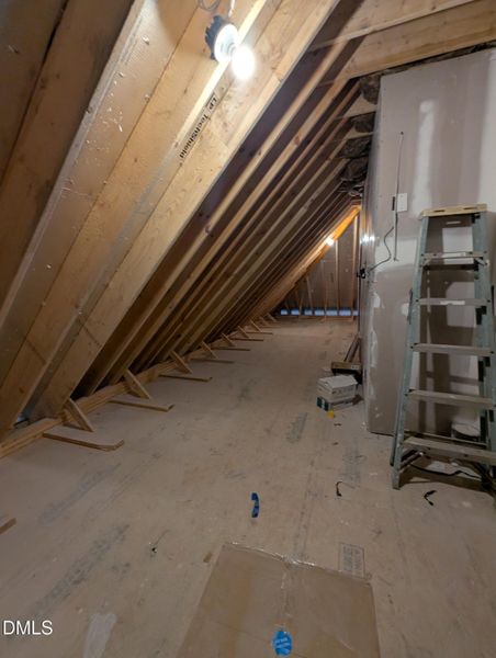 PXL_20251120_152538867.MP