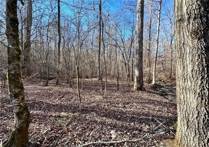 Natural landscape and outdoor views near  in Cumming (Image 23).
