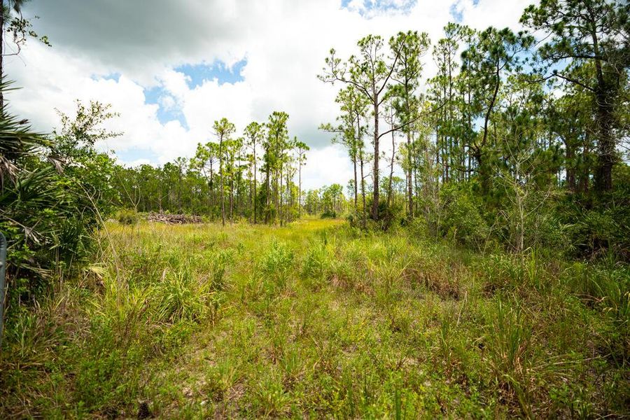 12460 79TH Street, Fellsmere, FL, 32948 12460 79TH Street, Fellsmere, FL, 32948