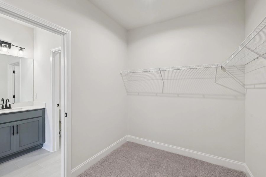 Spacious, unfurnished interior of a new home in Cedars at Cane Ridge | 55+ Community, Antioch (Image 42).