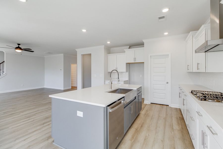 Furnished interior view inside a new home in Pebble Branch, Chapin (Image 11).