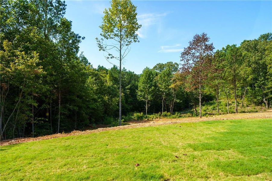 Natural landscape and outdoor views near in Ellijay (Image 52). Natural landscape and outdoor views near in Ellijay (Image 52).