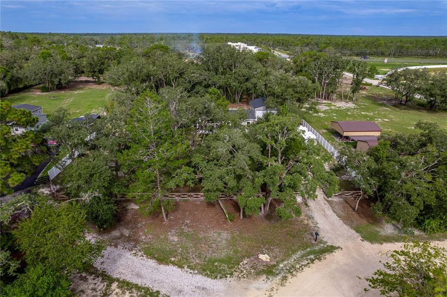 Natural landscape and outdoor views near in Weeki Wachee (Image 59). Natural landscape and outdoor views near in Weeki Wachee (Image 59).