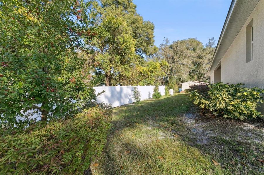 Natural landscape and outdoor views near  in Orange City (Image 25).