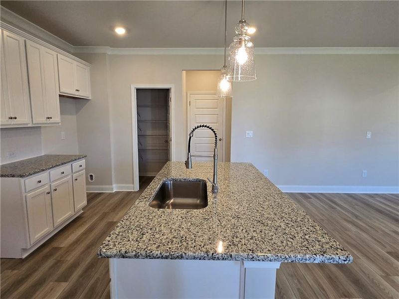 Image 42 of a home in Enclave at Logan Point.