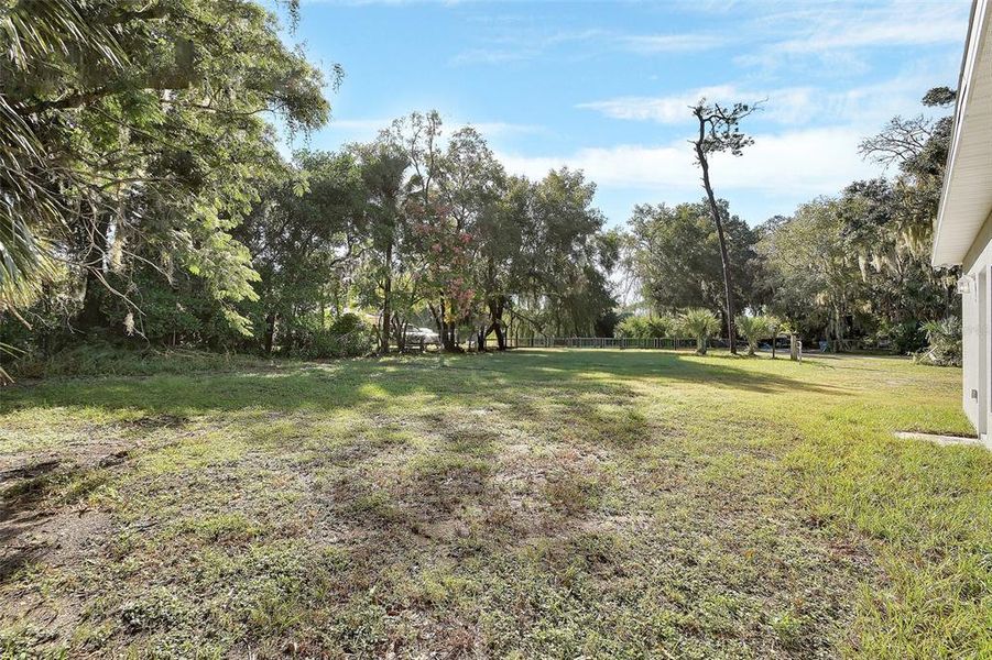 Natural landscape and outdoor views near  in Deland (Image 26).