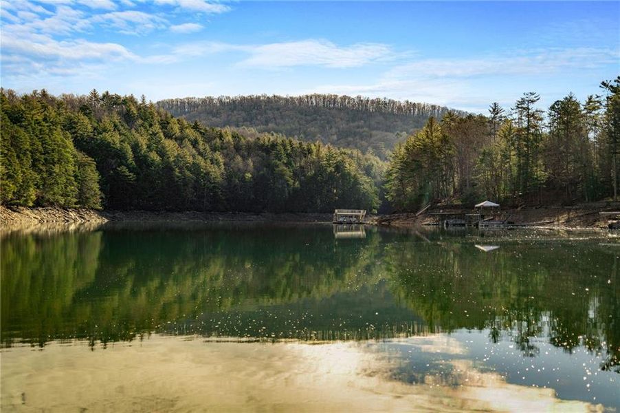 Natural landscape and outdoor views near  in Blue Ridge (Image 60).