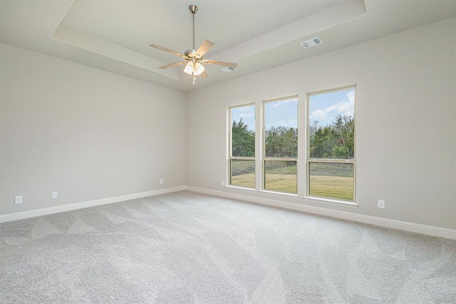 Carpeted spare room with ceiling fan and a tray ceiling