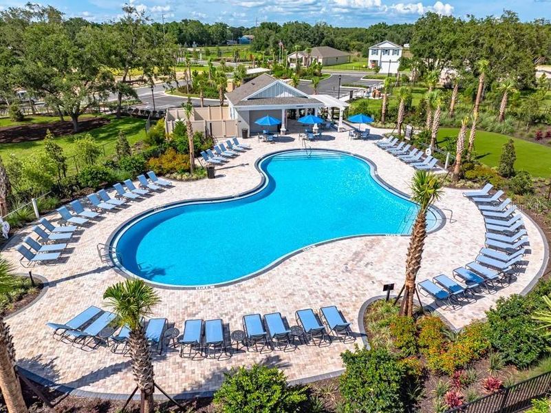 Community amenities in Palm Wind, Hudson (Image 17).