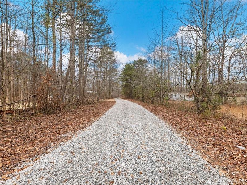 Natural landscape and outdoor views near in Gainesville (Image 36). Natural landscape and outdoor views near in Gainesville (Image 36).