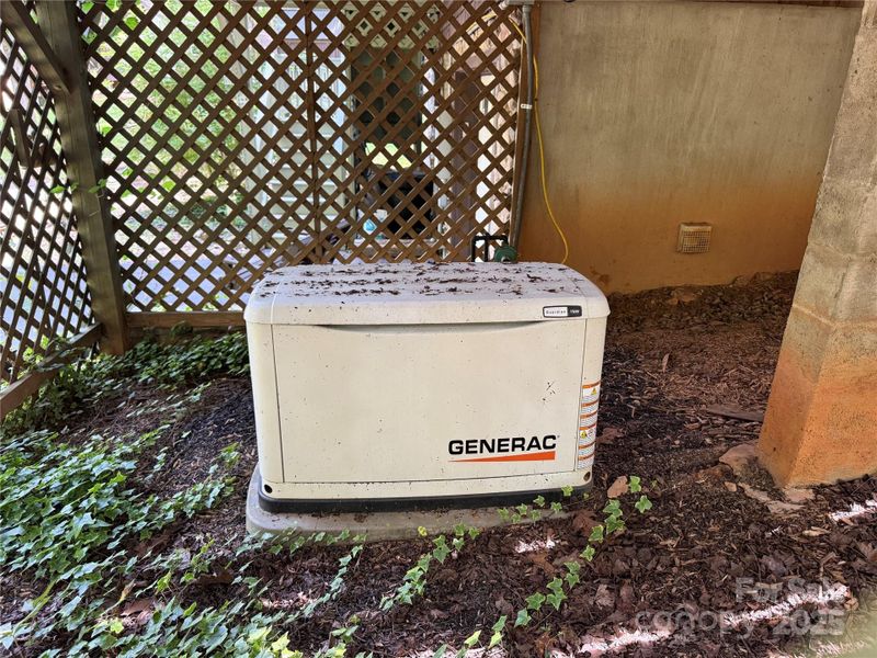 Generac whole house automatic generator