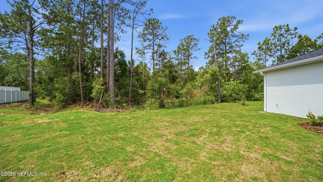 Natural landscape and outdoor views near Palm Coast in Palm Coast (Image 41).