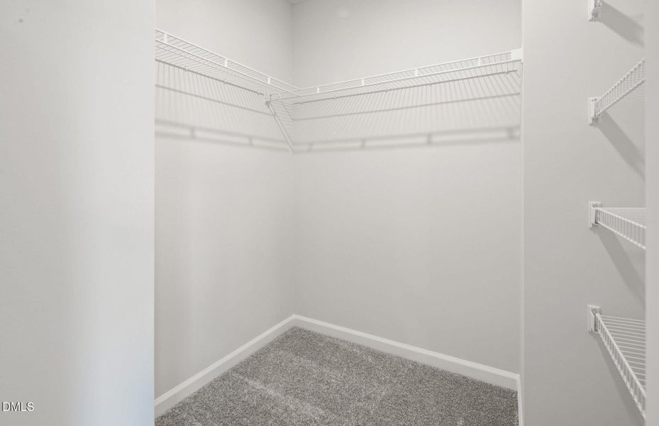 24-web-or-mls-7K5A4280 (2)