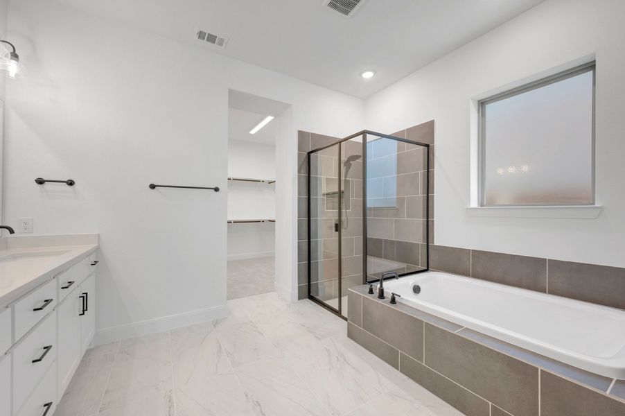 Owner's Bath