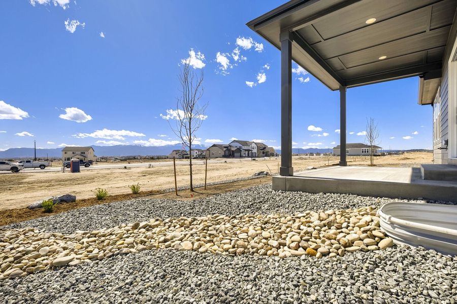 8688 Long Beach - Backyard