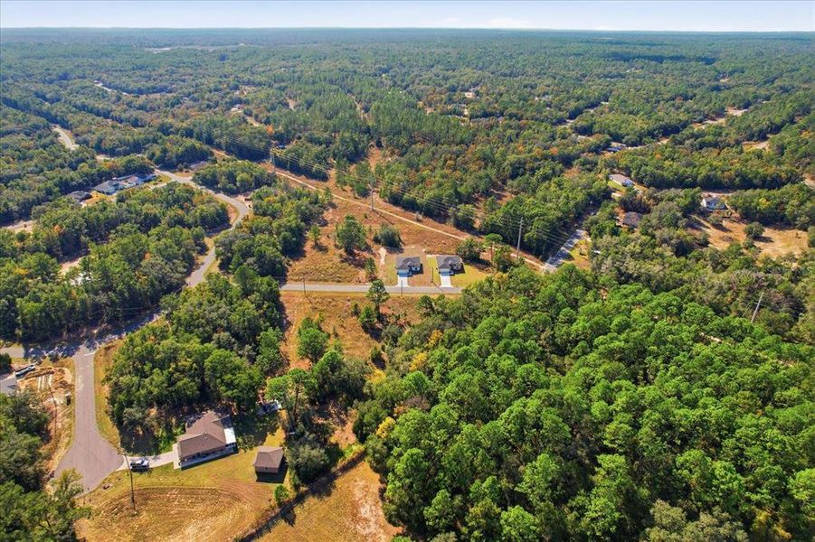 Natural landscape and outdoor views near  in Citrus Springs (Image 43).