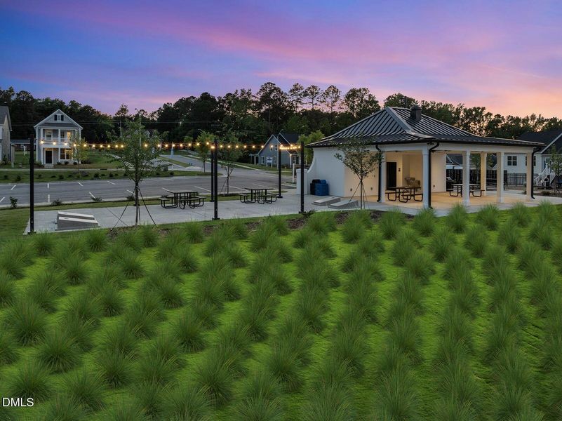 6-print-DJI_0631 6-print-DJI_0631