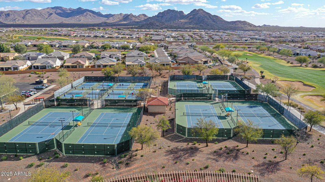 Sun City Festival and Pickleball