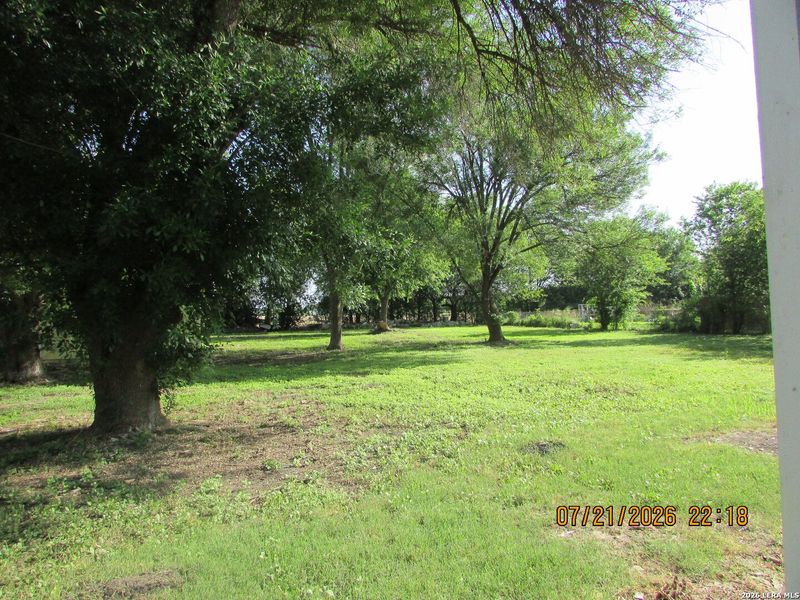 Natural landscape and outdoor views near  in San Antonio (Image 32).