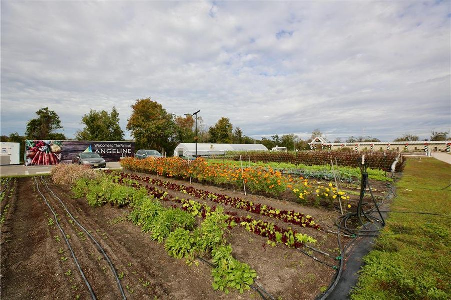 Image 62 of a home in .