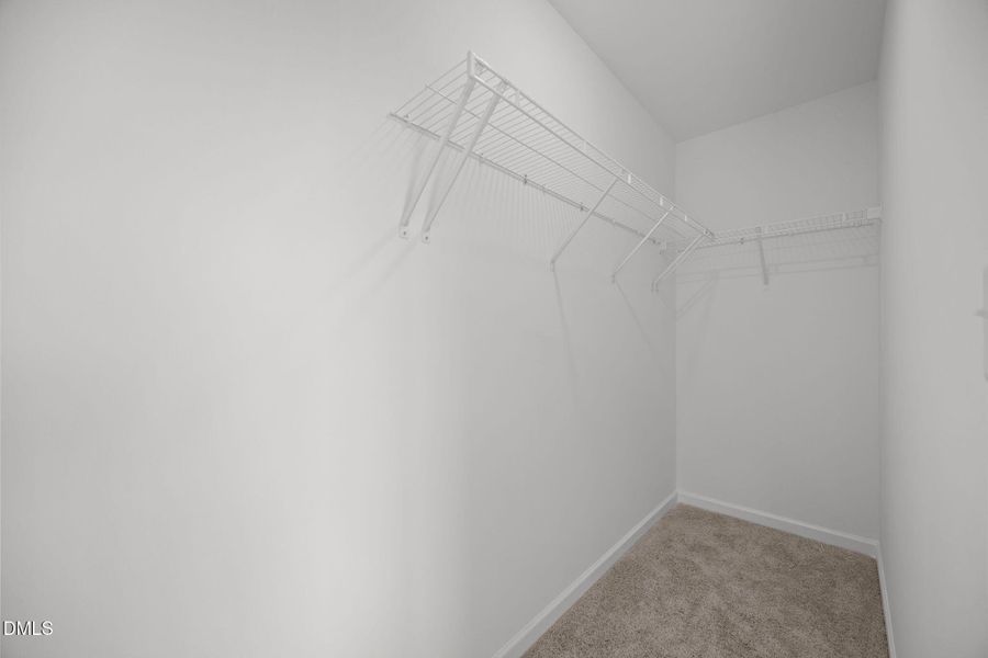 28-web-or-mls-IMG_5058