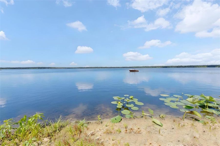 Natural landscape and outdoor views near  in Micanopy (Image 32).